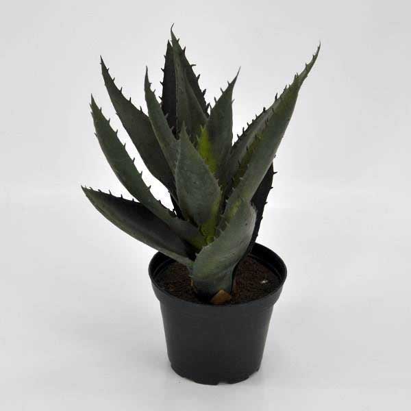 Kunstig plante - Succulent 20 cm.